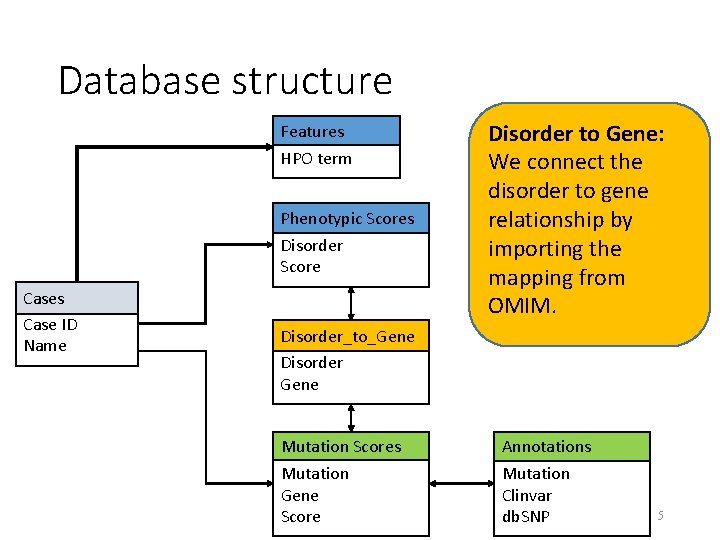 Database structure Features HPO term Phenotypic Scores Disorder Score Cases Case ID Name Disorder
