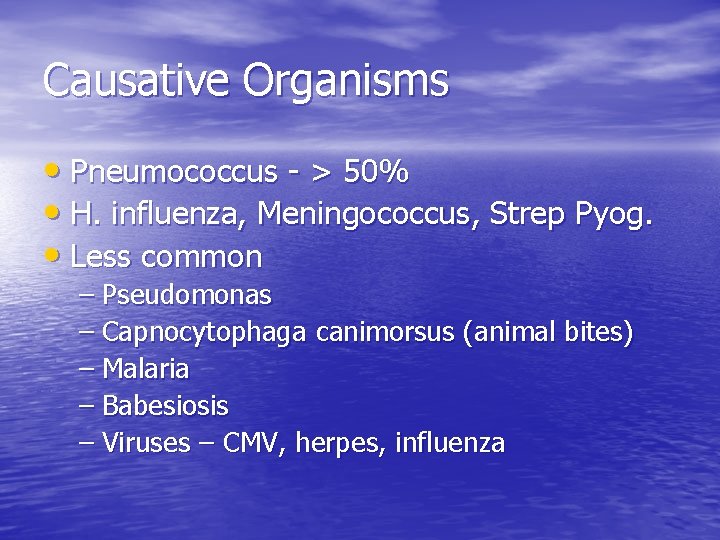 Causative Organisms • Pneumococcus - > 50% • H. influenza, Meningococcus, Strep Pyog. •