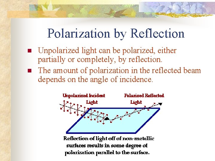 Polarization by Reflection n n Unpolarized light can be polarized, either partially or completely,