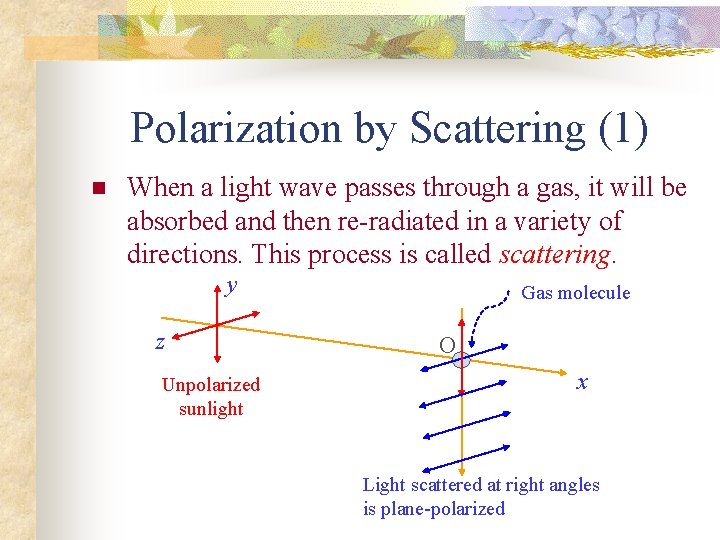 Polarization by Scattering (1) n When a light wave passes through a gas, it