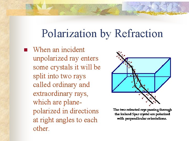 Polarization by Refraction n When an incident unpolarized ray enters some crystals it will