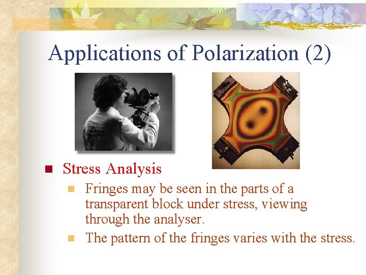 Applications of Polarization (2) n Stress Analysis n n Fringes may be seen in