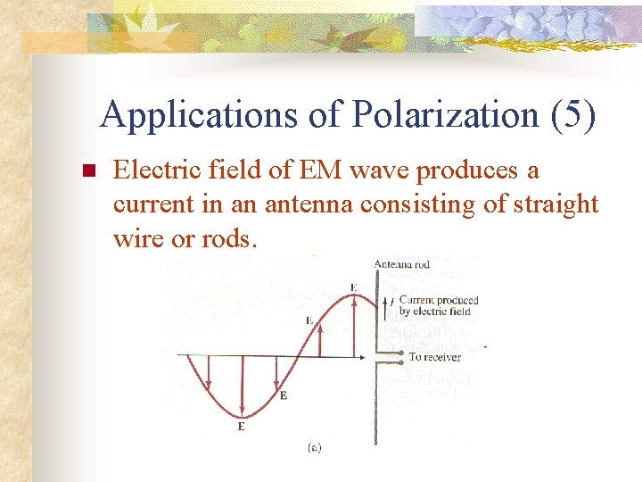 Applications of Polarization (5) n Electric field of EM wave produces a current in