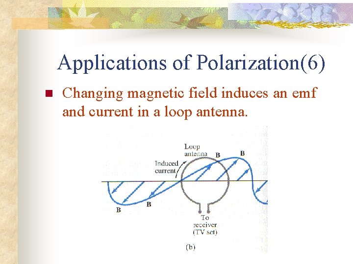 Applications of Polarization(6) n Changing magnetic field induces an emf and current in a