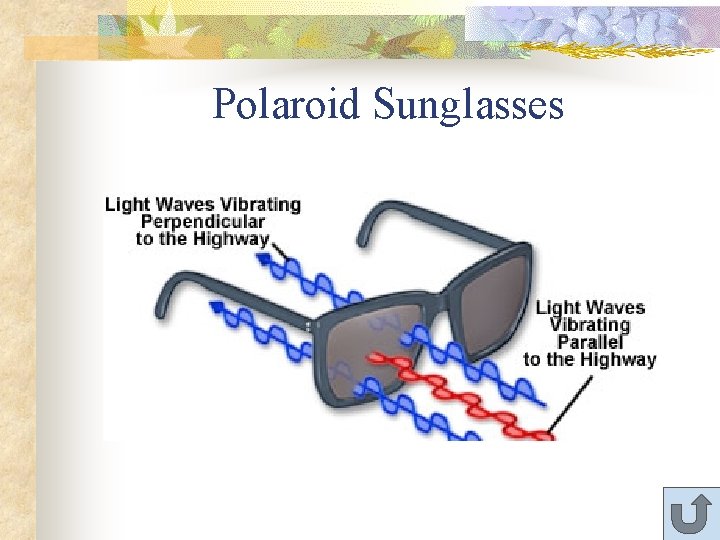 Polaroid Sunglasses 