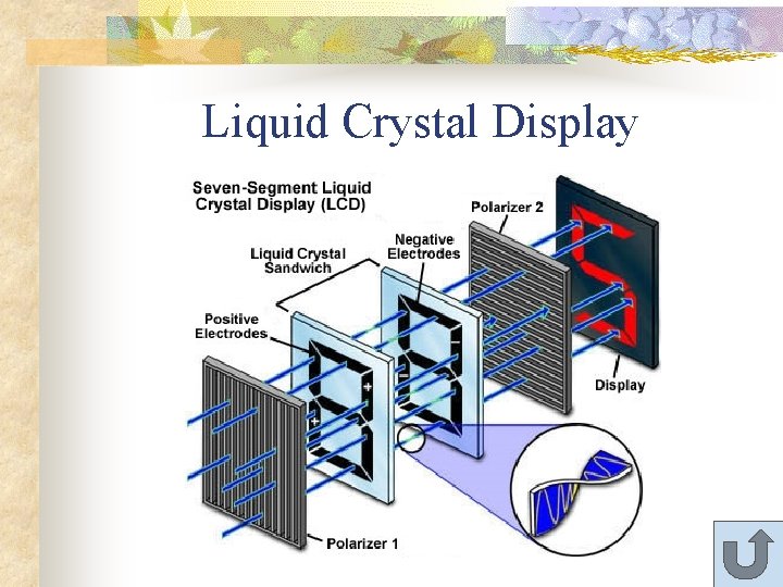 Liquid Crystal Display 