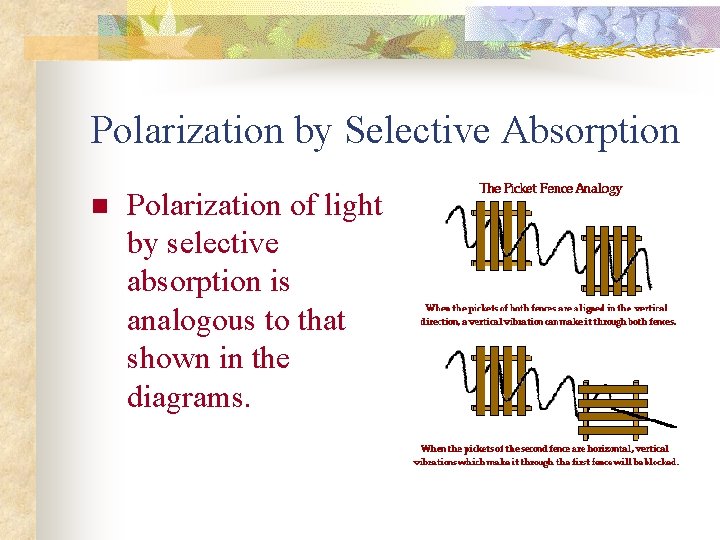 Polarization by Selective Absorption n Polarization of light by selective absorption is analogous to
