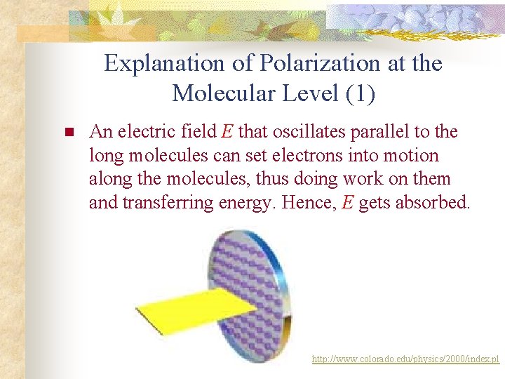 Explanation of Polarization at the Molecular Level (1) n An electric field E that