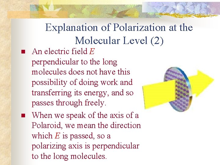 Explanation of Polarization at the Molecular Level (2) n n An electric field E