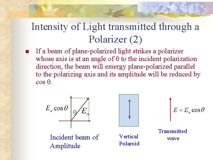 Intensity of Light transmitted through a Polarizer (2) n If a beam of plane-polarized