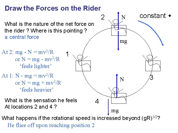 Draw the Forces on the Rider 2 N What is the nature of the