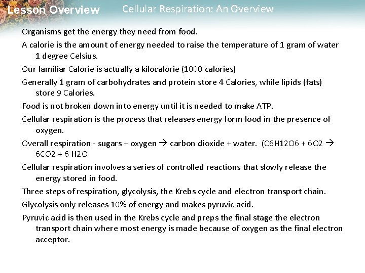 Lesson Overview Cellular Respiration: An Overview Organisms get the energy they need from food.