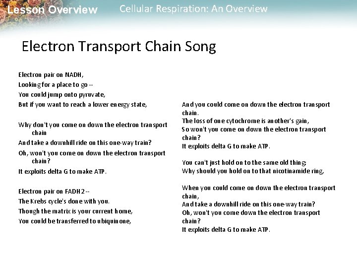 Lesson Overview Cellular Respiration: An Overview Electron Transport Chain Song Electron pair on NADH,