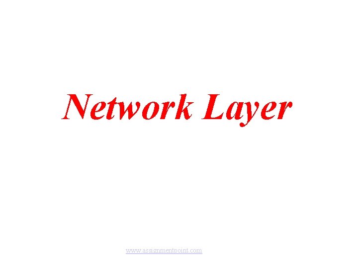 Network Layer www. assignmentpoint. com 