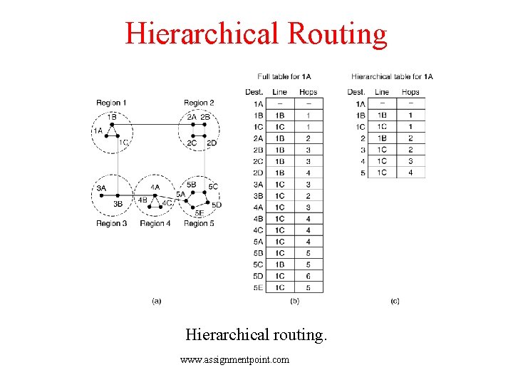 Hierarchical Routing Hierarchical routing. www. assignmentpoint. com 