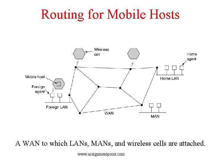 Routing for Mobile Hosts A WAN to which LANs, MANs, and wireless cells are