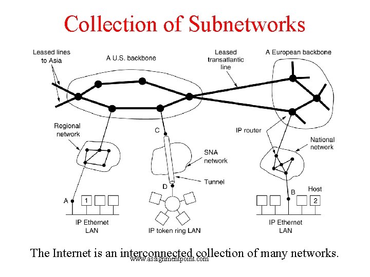 Collection of Subnetworks The Internet is an interconnected collection of many networks. www. assignmentpoint.