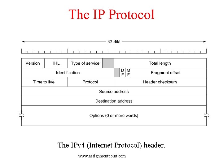 The IP Protocol The IPv 4 (Internet Protocol) header. www. assignmentpoint. com 