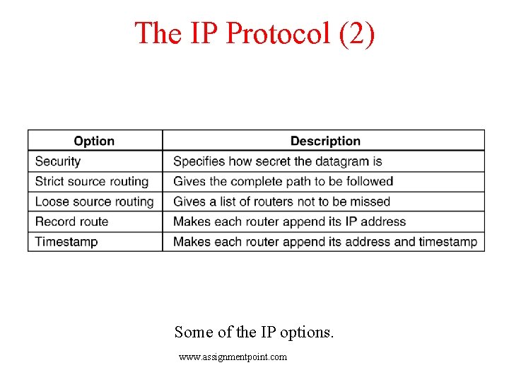 The IP Protocol (2) 5 -54 Some of the IP options. www. assignmentpoint. com