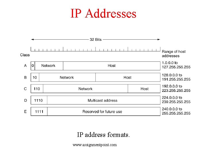 IP Addresses IP address formats. www. assignmentpoint. com 