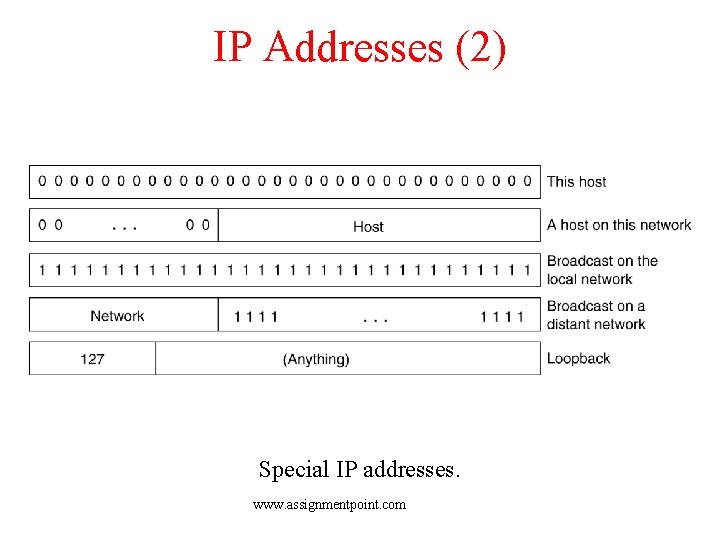 IP Addresses (2) Special IP addresses. www. assignmentpoint. com 