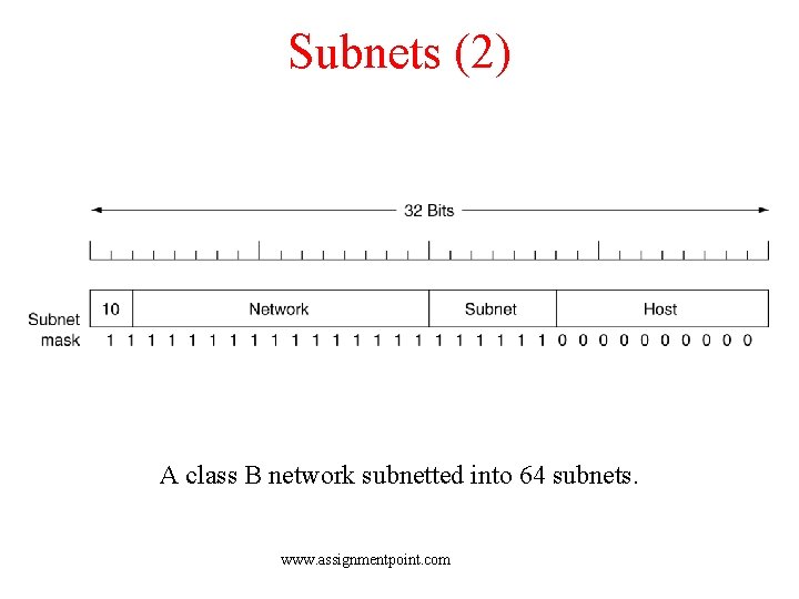 Subnets (2) A class B network subnetted into 64 subnets. www. assignmentpoint. com 