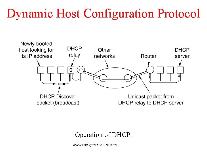 Dynamic Host Configuration Protocol Operation of DHCP. www. assignmentpoint. com 