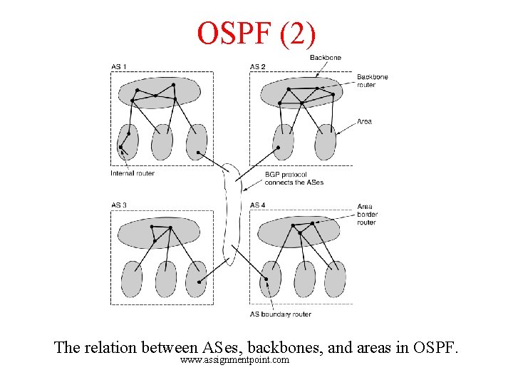 OSPF (2) The relation between ASes, backbones, and areas in OSPF. www. assignmentpoint. com