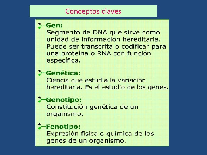 Conceptos claves 