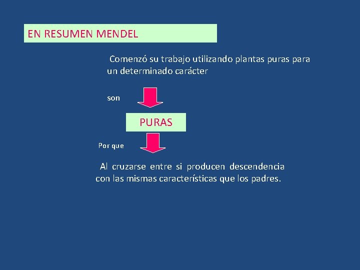 EN RESUMEN MENDEL Comenzó su trabajo utilizando plantas puras para un determinado carácter son