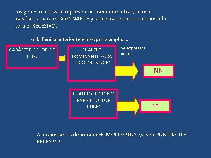 Los genes o alelos se representan mediante letras, se usa mayúscula para el DOMINANTE