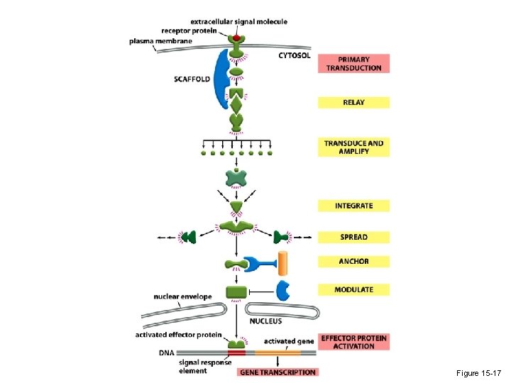 Figure 15 -17 