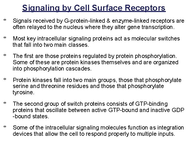 Signaling by Cell Surface Receptors * Signals received by G-protein-linked & enzyme-linked receptors are