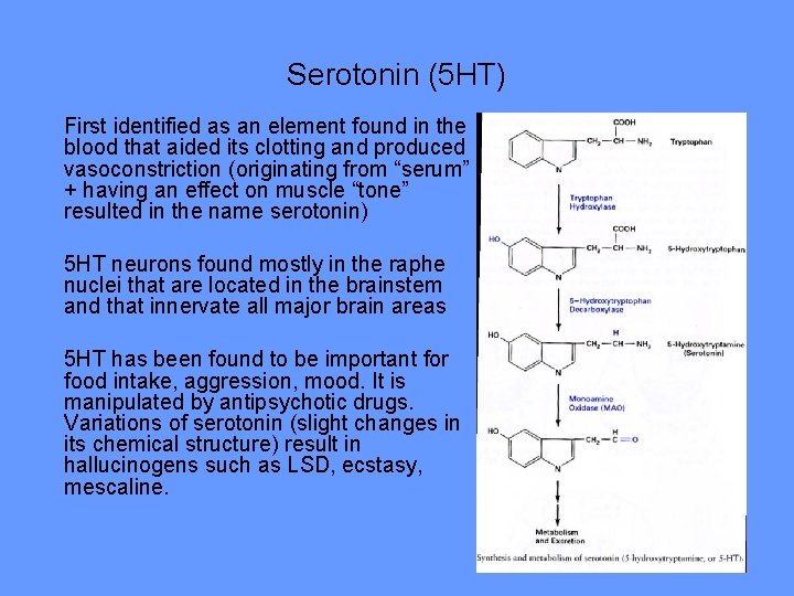 Serotonin (5 HT) First identified as an element found in the blood that aided