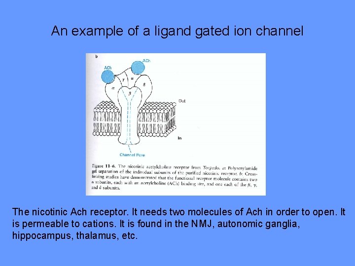 An example of a ligand gated ion channel The nicotinic Ach receptor. It needs