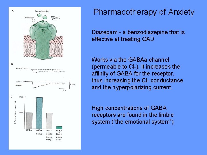 Pharmacotherapy of Anxiety Diazepam - a benzodiazepine that is effective at treating GAD Works