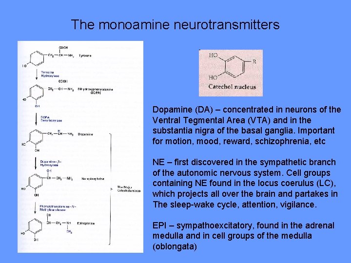 The monoamine neurotransmitters Dopamine (DA) – concentrated in neurons of the Ventral Tegmental Area