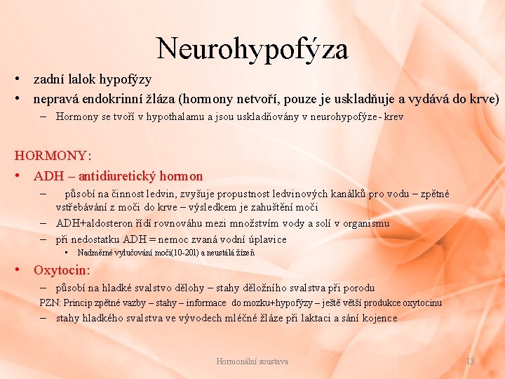 Neurohypofýza • zadní lalok hypofýzy • nepravá endokrinní žláza (hormony netvoří, pouze je uskladňuje