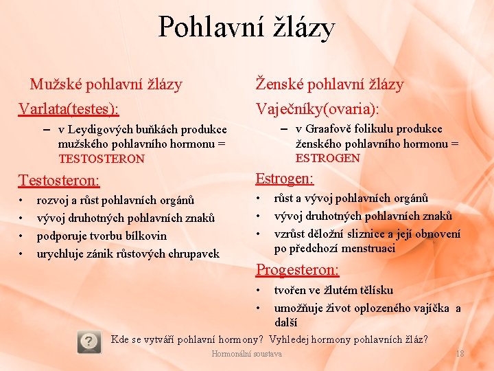 Pohlavní žlázy Mužské pohlavní žlázy Ženské pohlavní žlázy Vaječníky(ovaria): Varlata(testes): – v Graafově folikulu