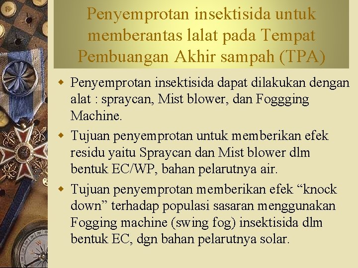 Penyemprotan insektisida untuk memberantas lalat pada Tempat Pembuangan Akhir sampah (TPA) w Penyemprotan insektisida