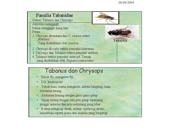 10/14/2014 Familia Tabanidae Genus: Tabanus dan Chrysops Aktivitas menggigit: betina menggigit siang hari Peran: