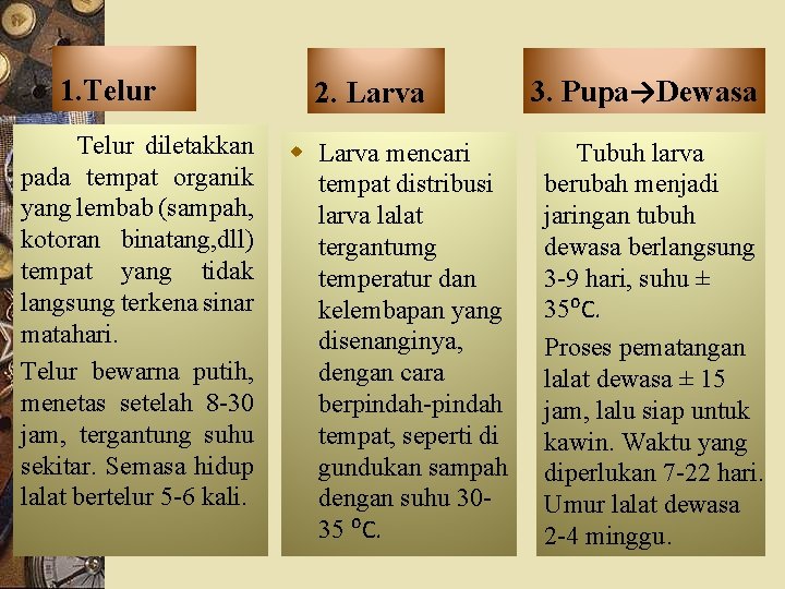 1. Telur diletakkan pada tempat organik yang lembab (sampah, kotoran binatang, dll) tempat yang