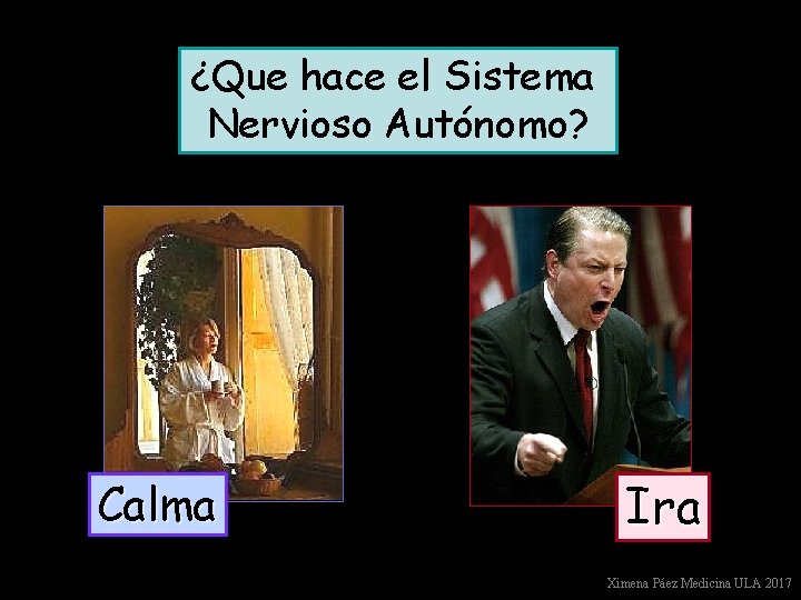 ¿Que hace el Sistema Nervioso Autónomo? Calma Ira Ximena Páez Medicina ULA 2017 