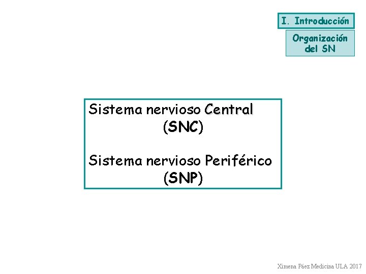 I. Introducción Organización del SN Sistema nervioso Central (SNC) SNC Sistema nervioso Periférico (SNP)