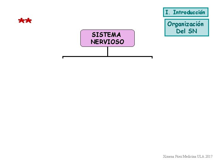 I. Introducción ** Organización Del SN SISTEMA NERVIOSO División Sensorial aferente Sensorial Somática Sensorial