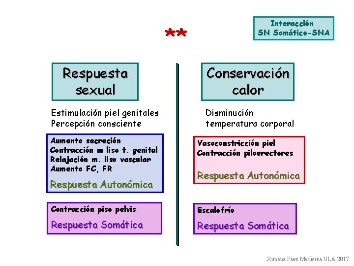 Interacción SN Somático-SNA ** Respuesta sexual Conservación calor Estimulación piel genitales Percepción consciente Disminución