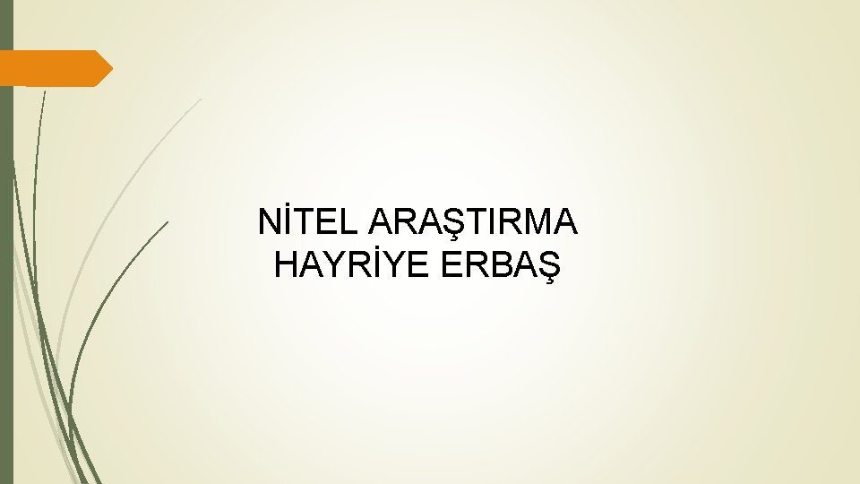 NİTEL ARAŞTIRMA HAYRİYE ERBAŞ 