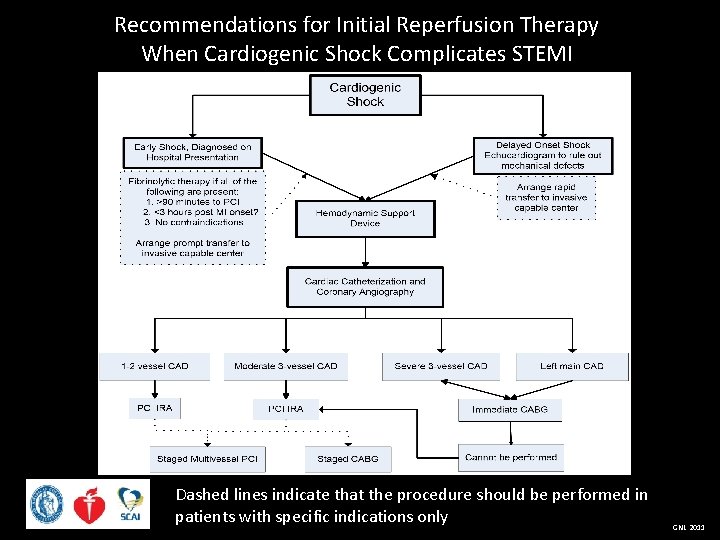 Recommendations for Initial Reperfusion Therapy When Cardiogenic Shock Complicates STEMI Dashed lines indicate that