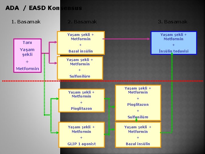ADA / EASD Konsensus 1. Basamak 2. Basamak 3. Basamak Yaşam şekli + Metformin
