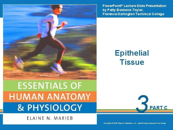 Power. Point® Lecture Slide Presentation by Patty Bostwick-Taylor, Florence-Darlington Technical College Epithelial Tissue 3